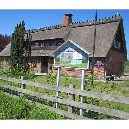 Midgard Comfortable *